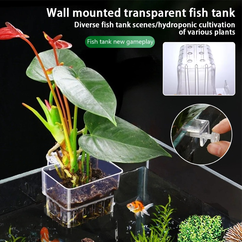 Aquarium Plants Live - Aquarium Hanging Planter Cups Wall Mounted