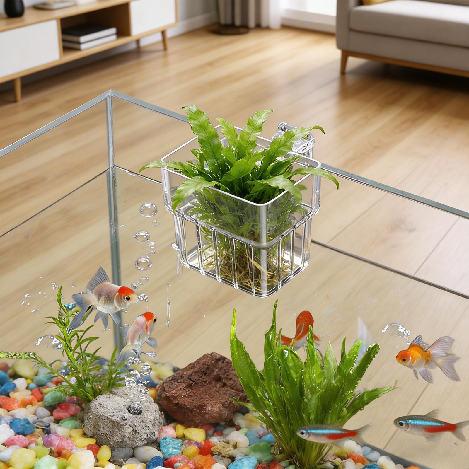 Aquarium Plants Live - Transparent Hangable Aquarium Plant Holder Pot
