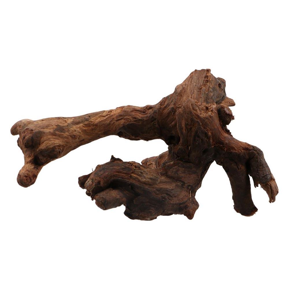 Aquarium Plants Live - Creative Irregular Shape Coral Wood Natural