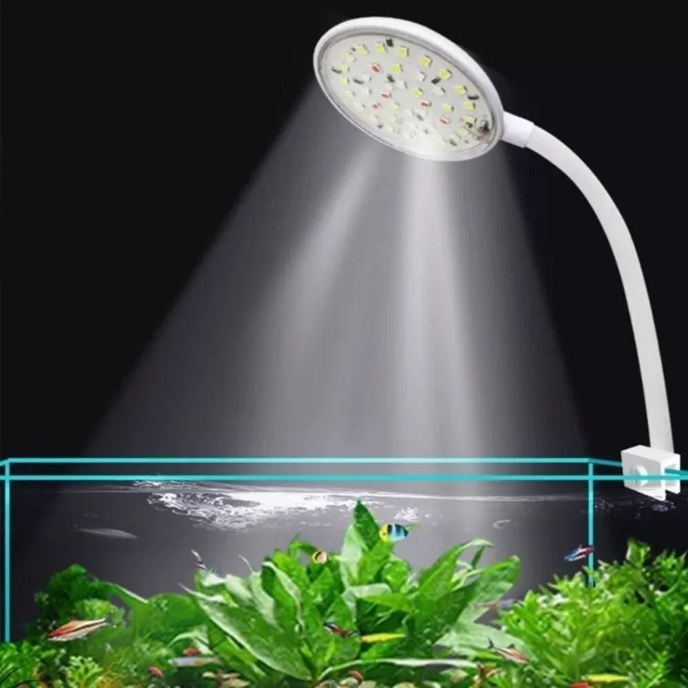 Live Plant Aquarium - New Mini Fish Tank Clip Lamp