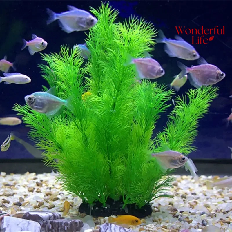 19/30CM Water Grass Aquatic Pl - Aquarium Plant Substrate review and price