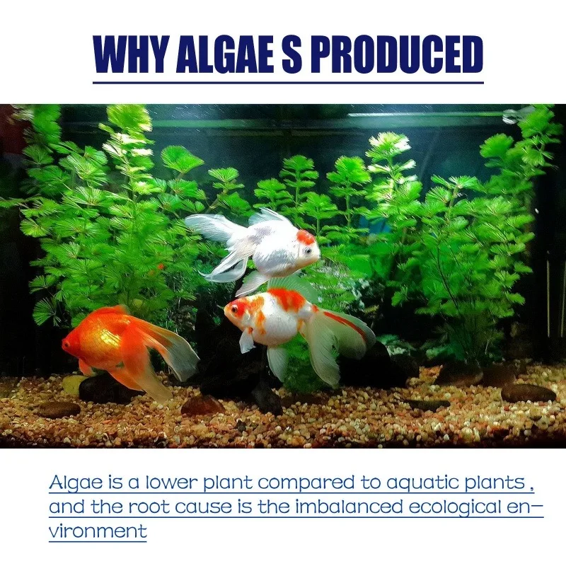 50g High Efficiency Algaecide  - Planted Aquarium Algae Control review and price