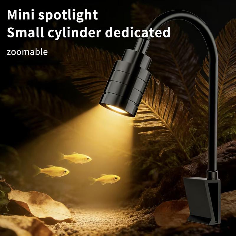 3W South American Aquarium Spo - Aquarium Plant Light review and price