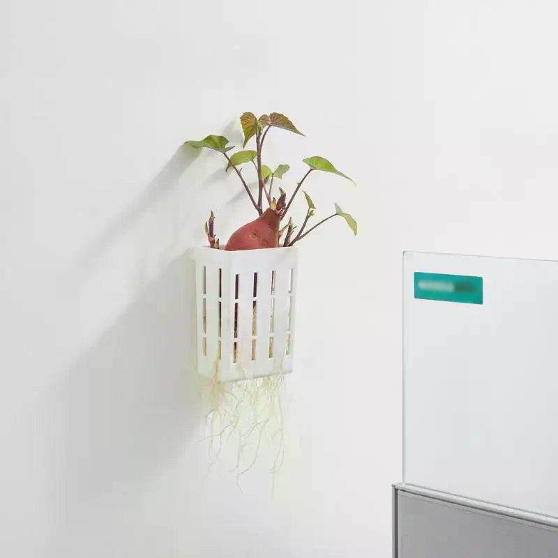 1Pcs Hydroponic Support Basket - Planted Tank review and price