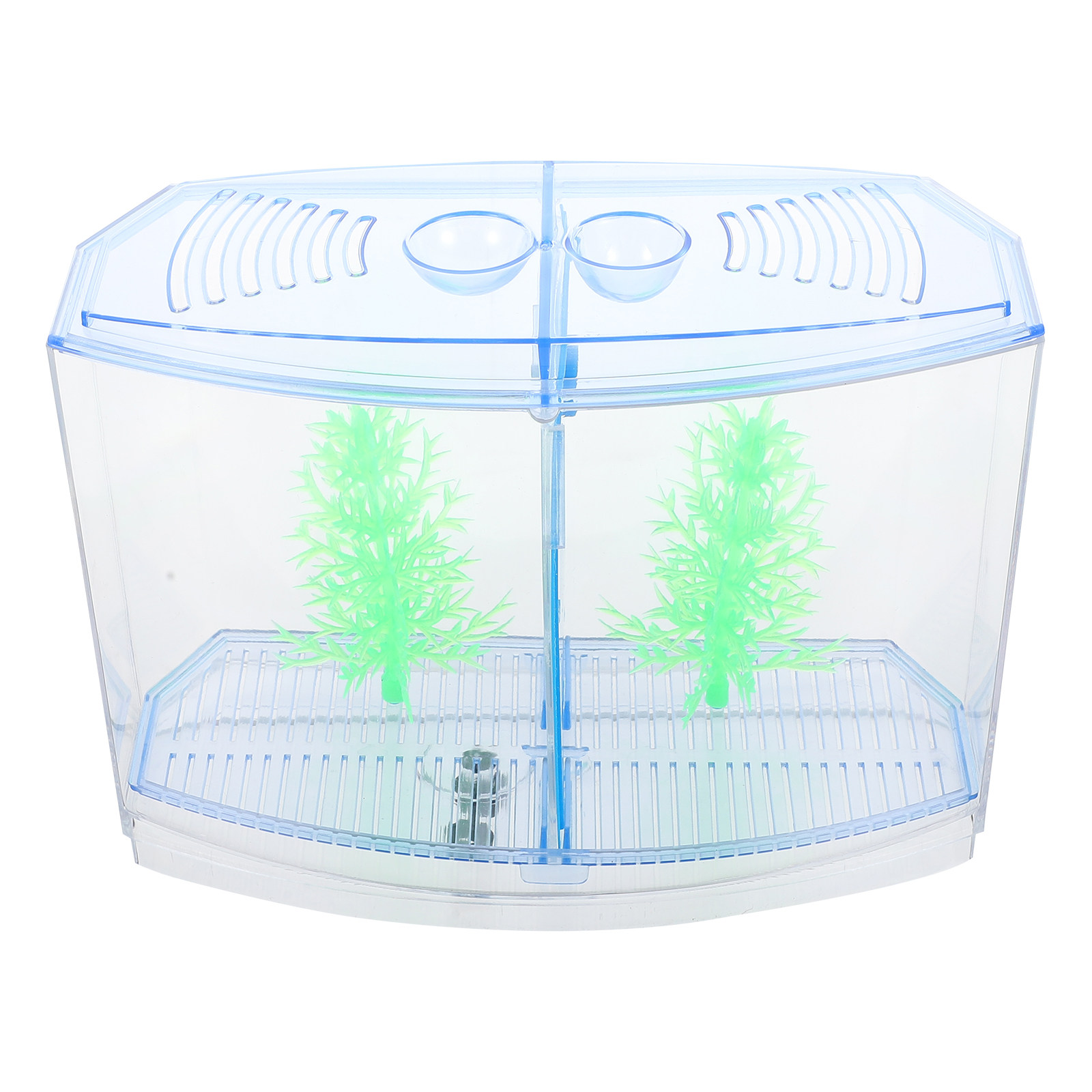 1Set Clear Compact Acrylic Fis - Aquarium Plants Live review and price