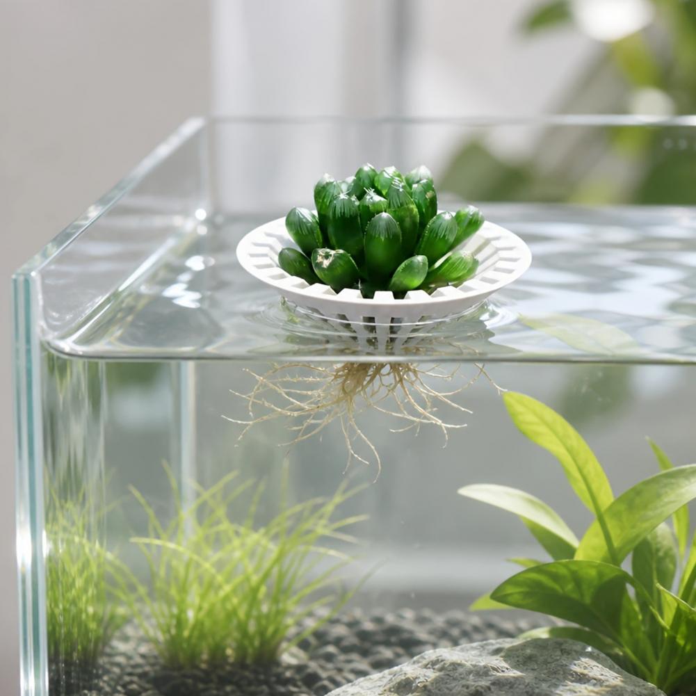 Aquarium Hydroponic Planter 3d - Aquarium Plant Holder review and price