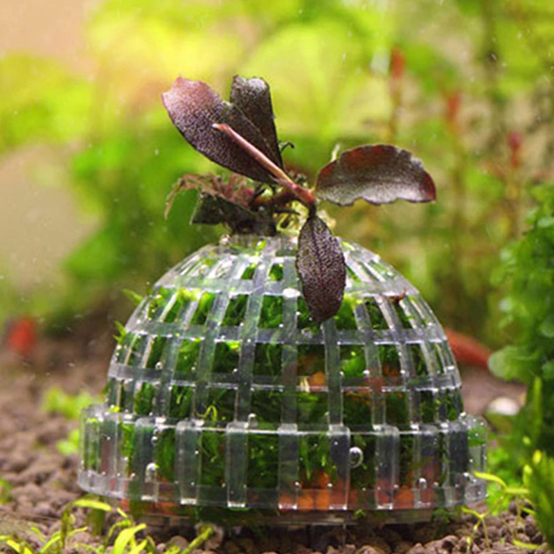 .1Pc Aquatic Pet Supplies Deco - Live Plant Aquarium review and price