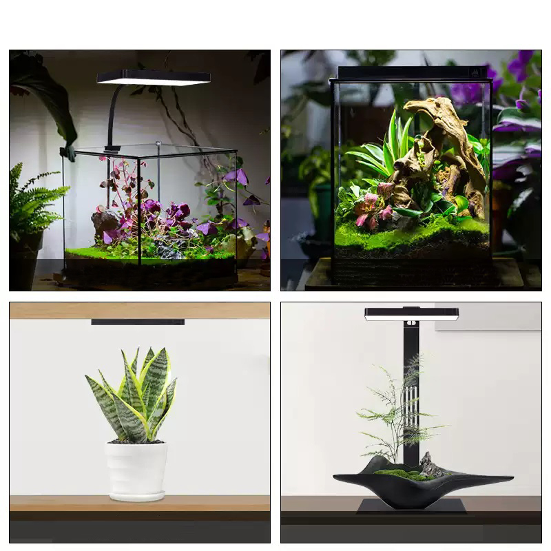 Lamp Mini9pro Magnetic Clamp L - Aquarium Plant Light review and price
