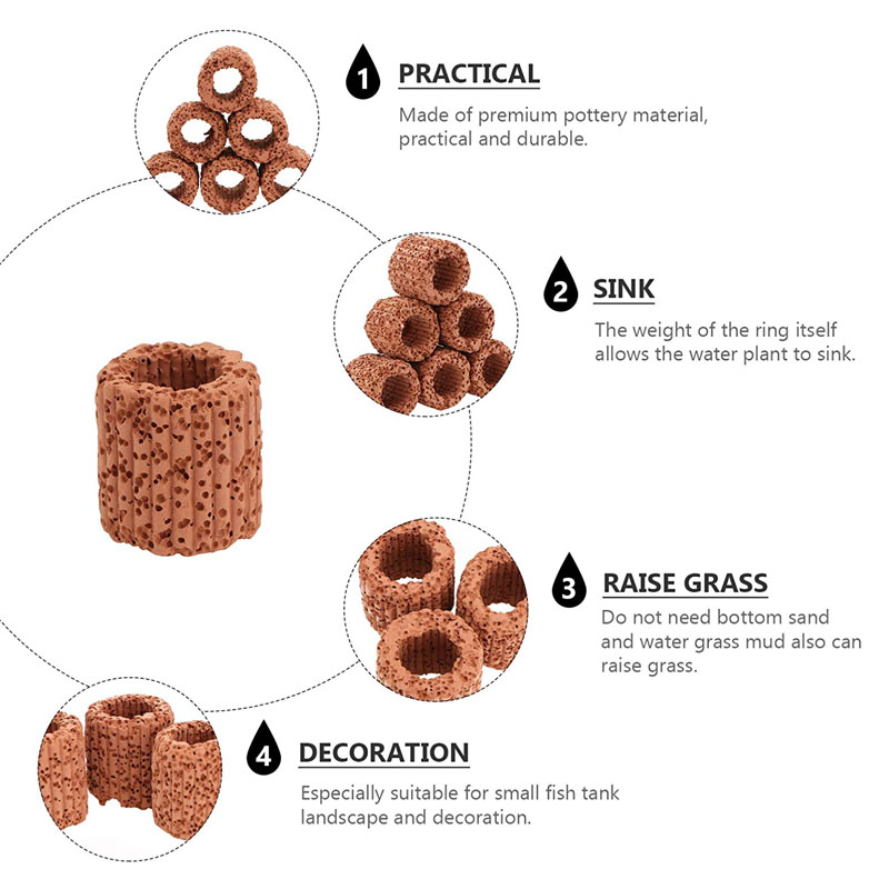 10/20Pcs Aquatic Water Plant F - Aquarium Plants Live review and price