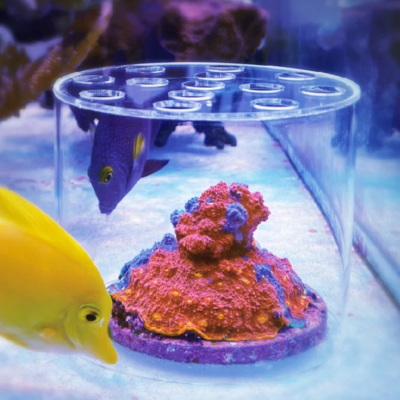 Vastocean Aquarium Arcylic Cor - Aquarium Fertilizer review and price