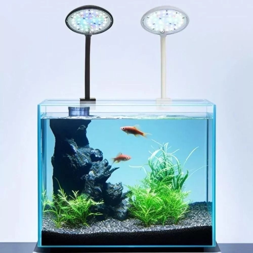 New Mini Fish Tank Clip Lamp 5 - Live Plant Aquarium review and price