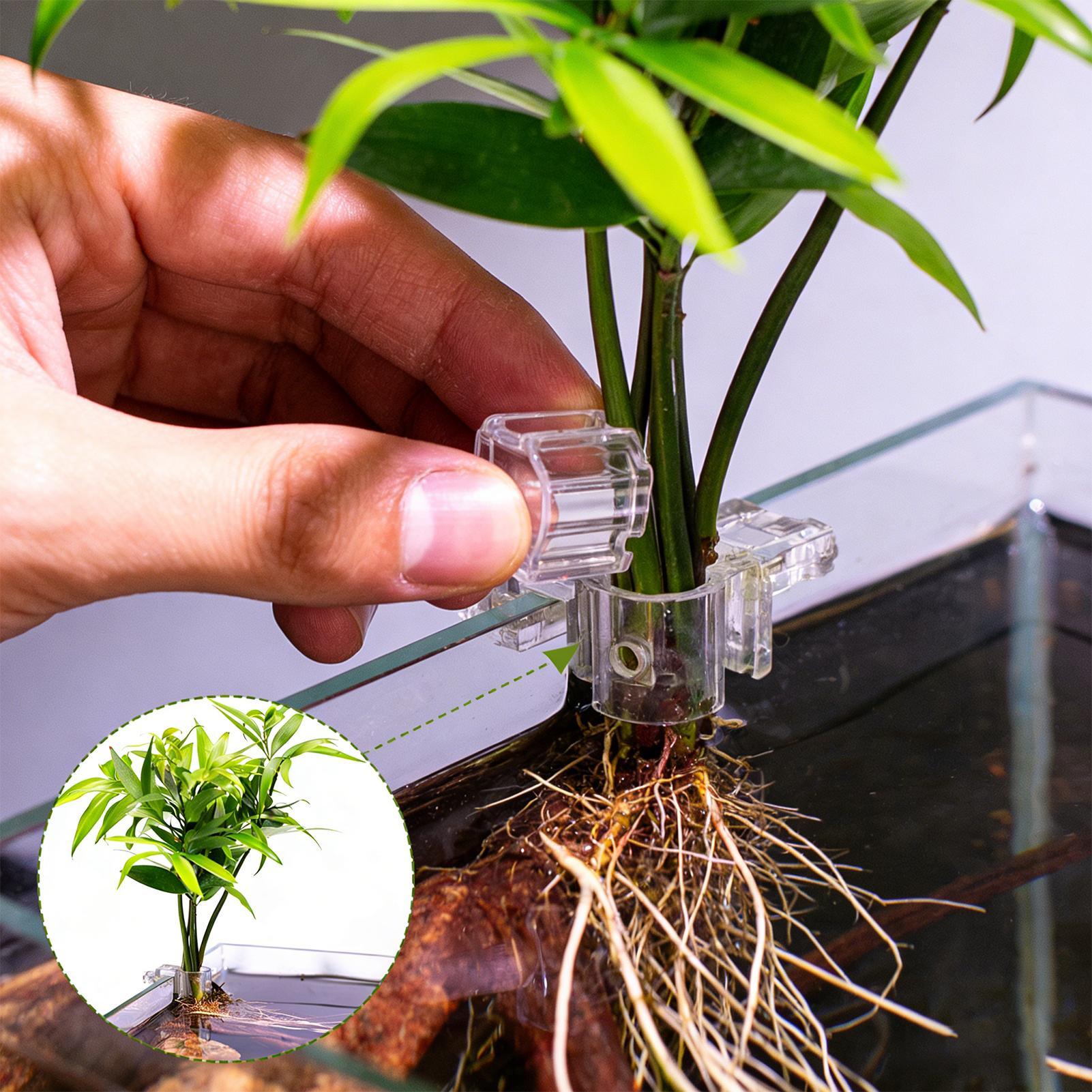 Mini Fish Tank Planter Pot 6Pc - Aquarium Fertilizer review and price