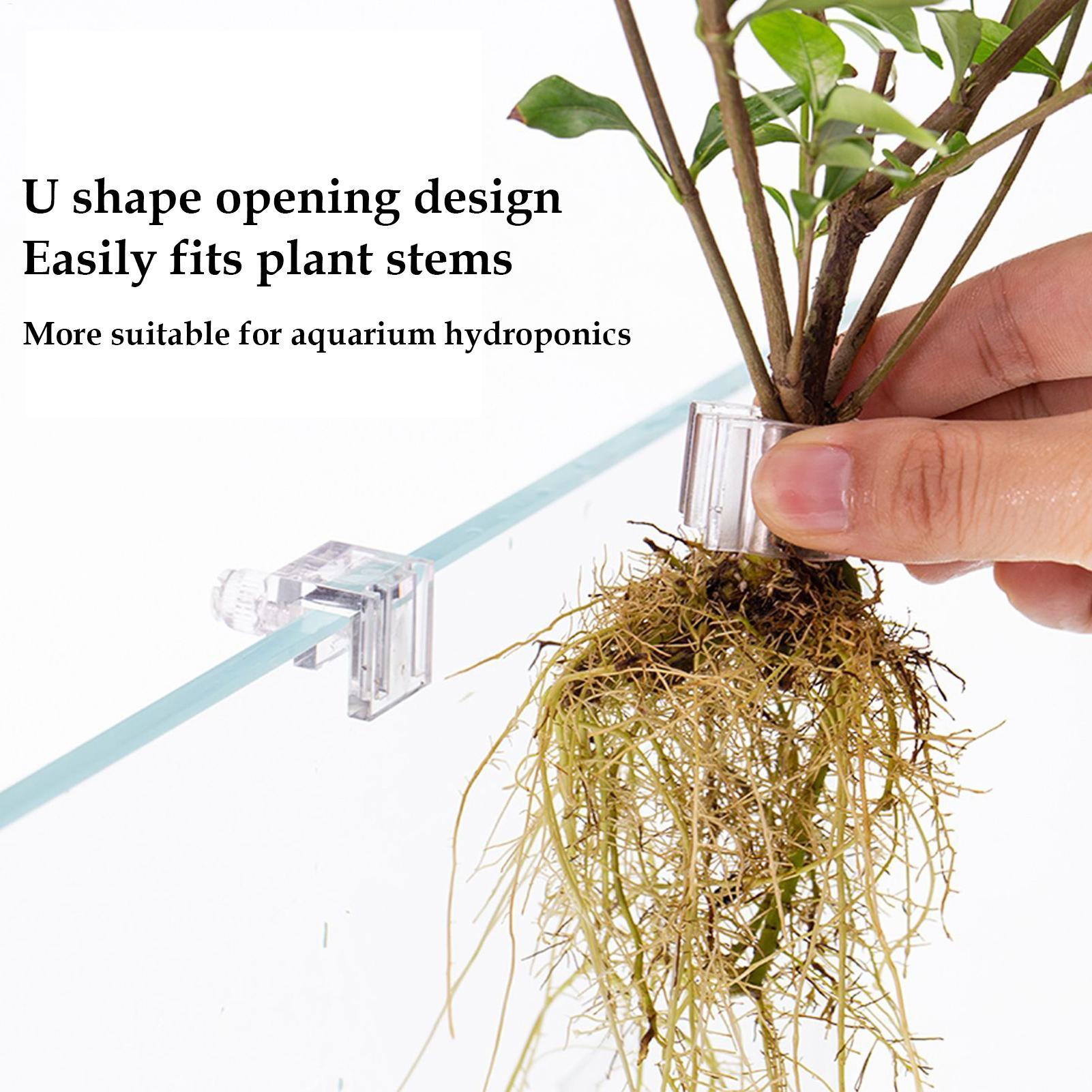 Mini Fish Tank Planter Pot 6Pc - Aquarium Fertilizer review and price