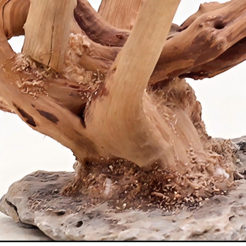 1PC Aquarium Landscaping Wood  - Aquarium Driftwood review and price