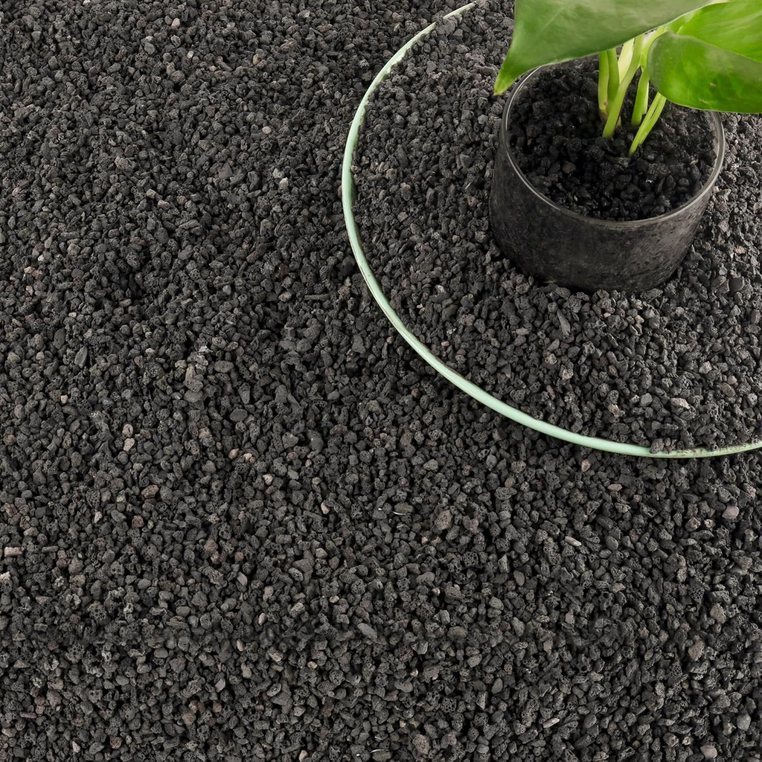 3lb Black Aquarium Filter Medi - Plant Aquarium Pot review and price