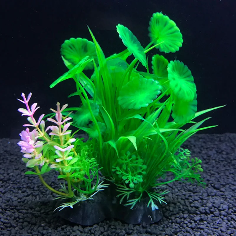 Aquarium Artificial Decor Plan - Live Plant Aquarium review and price