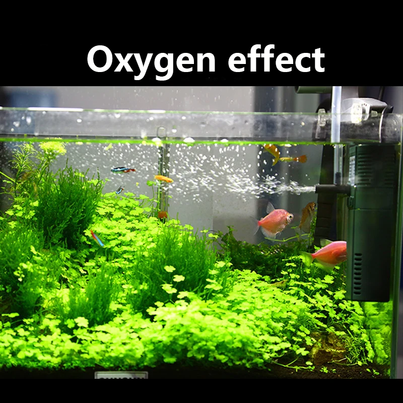 SUNSUN Mini Nano 111B 311B 611 - Aquarium Planted Tank Filter review and price